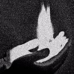 Profane Congregation : Apocalyptic Visions